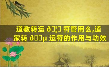 道教转运 🦆 符管用么,道家转 🐵 运符的作用与功效